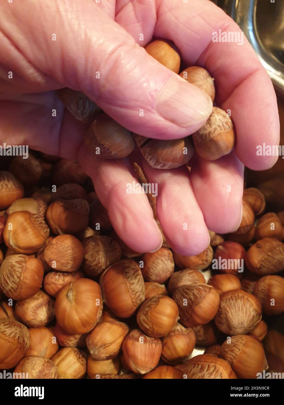 Eine alte Hand greift in einen Haufen Haselnüsse Stock Photo