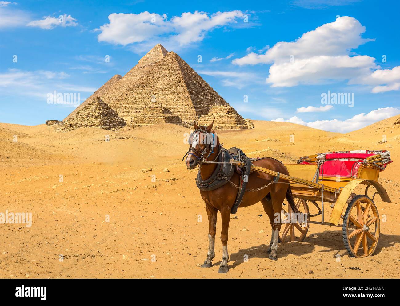 Horse near pyramids Stock Photo