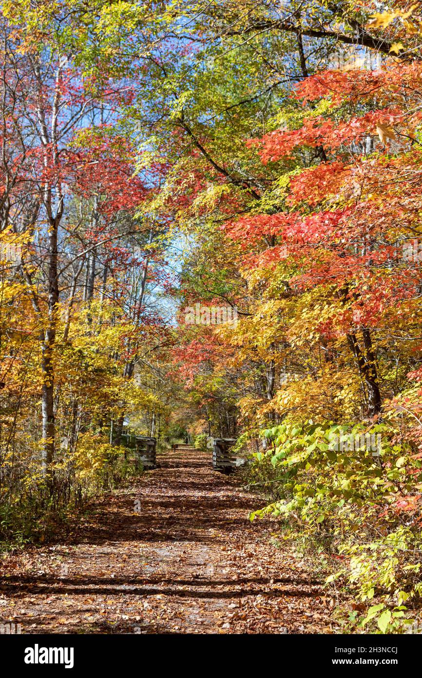 Martinton, West Virginia - The Greenbrier River Trail. The 78-mile rail trail runs along the Greenbrier River. Now a linear state park, it was formerl Stock Photo