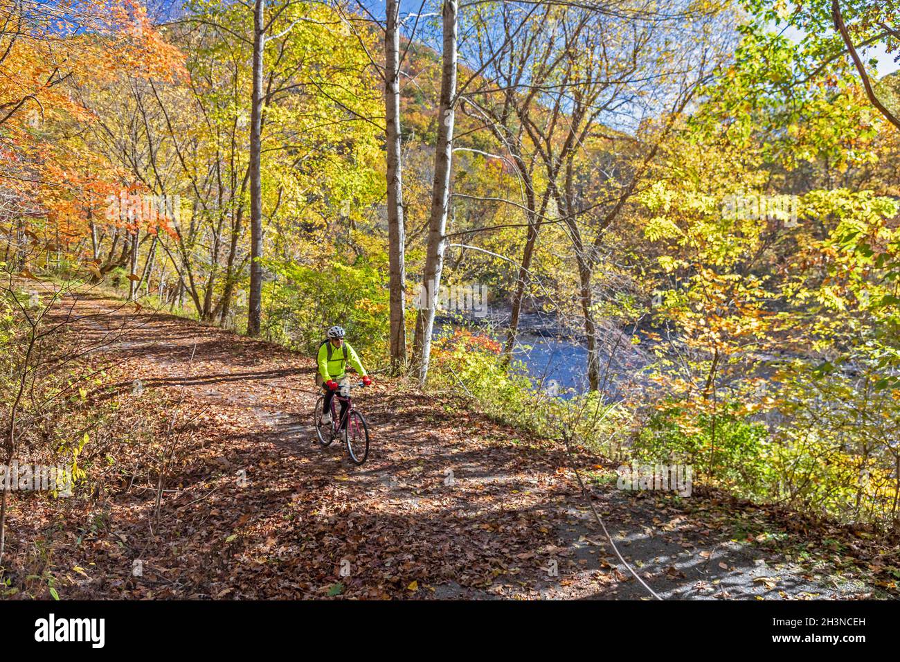 Martinton, West Virginia - John West, 75, rides his bicycle on the Greenbrier River Trail. The 78-mile rail trail runs along the Greenbrier River. Now Stock Photo