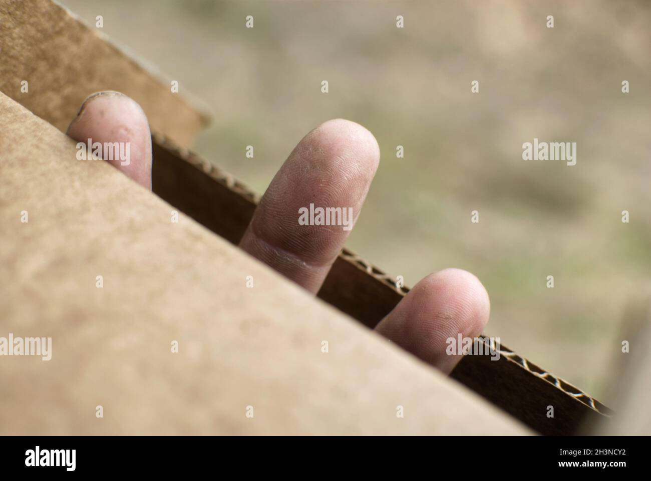 Let me out Stock Photo