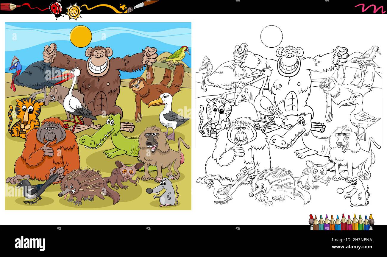 Cartoon animal characters group coloring book page Stock Photo - Alamy