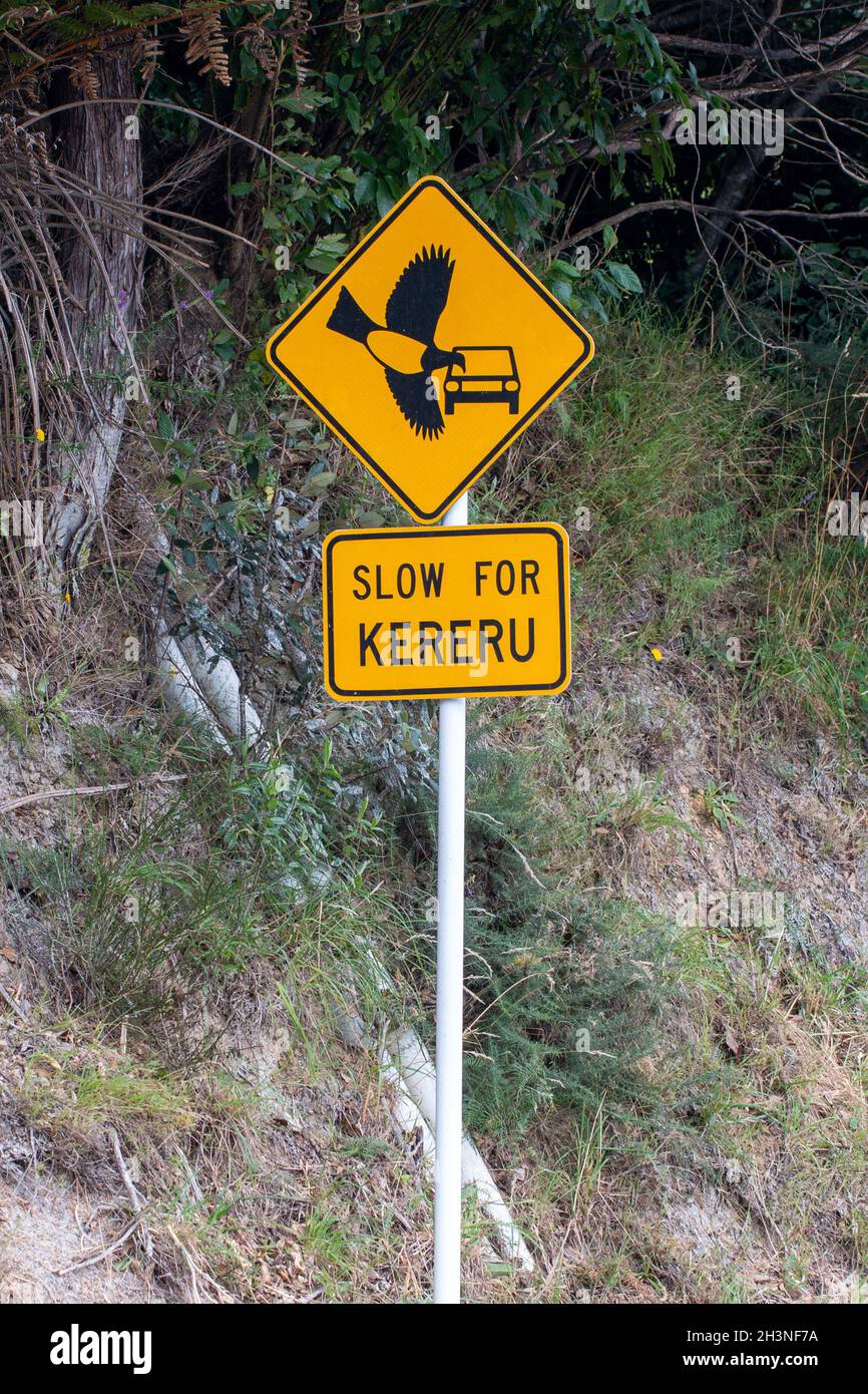 A slow for kereru sign at Otari Wiltons Bush in Wellington, New Zealand Stock Photo