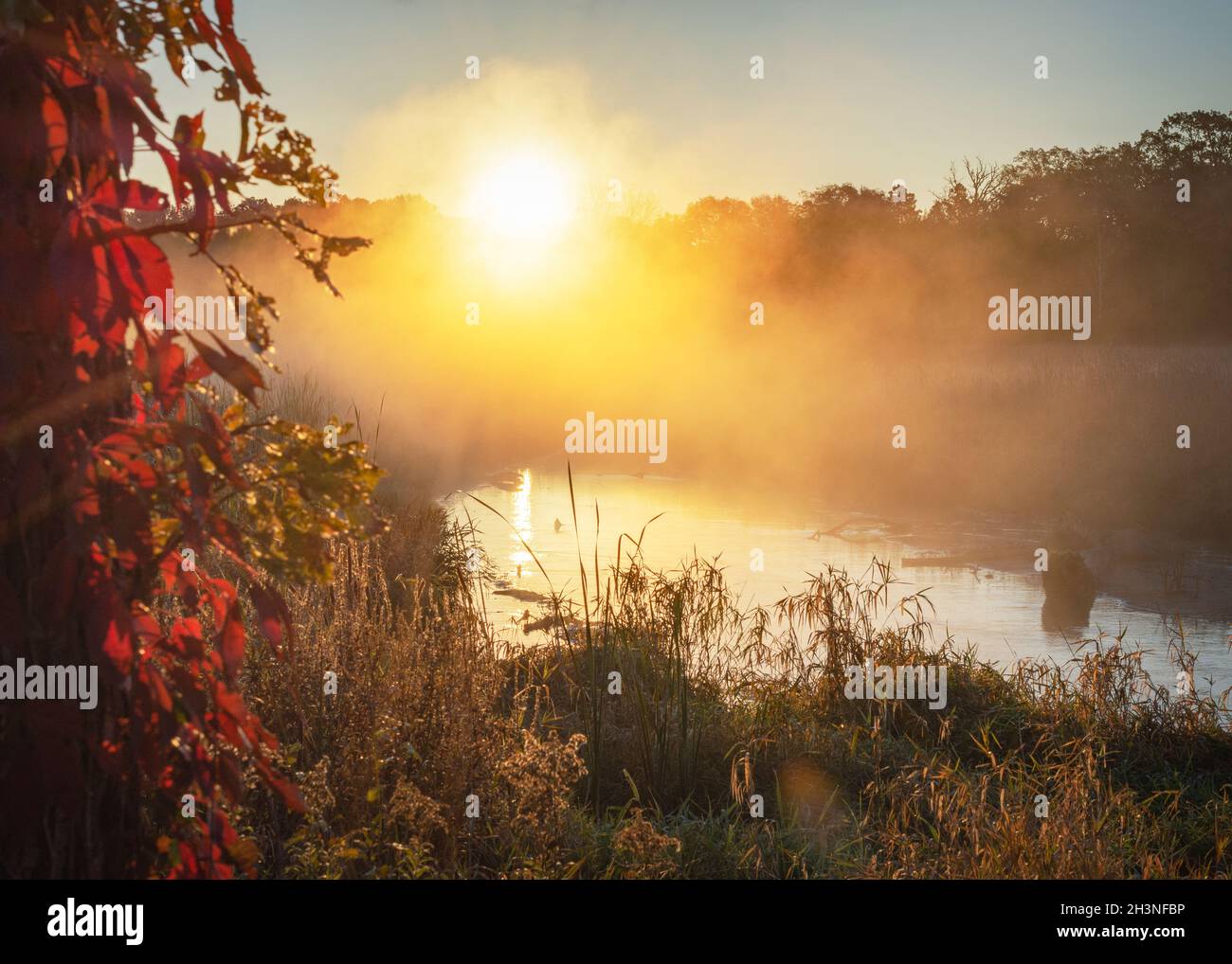 The sun peaks over the distant tree line as steam and fog collect in the marshy river basin in Waukesha County, Wisconsin on an autumn morning. Stock Photo