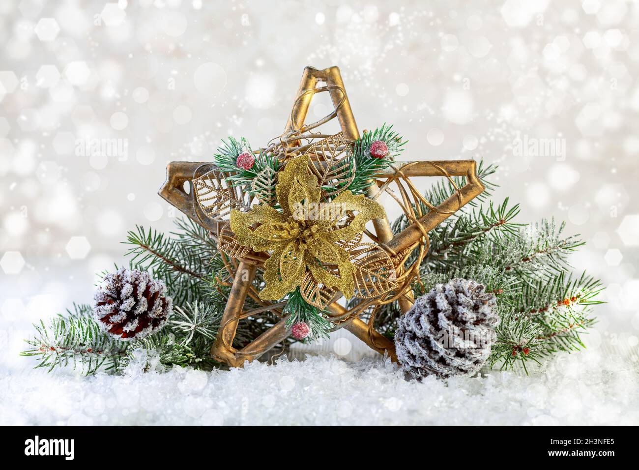 Festive composition with a Christmas star. Stock Photo