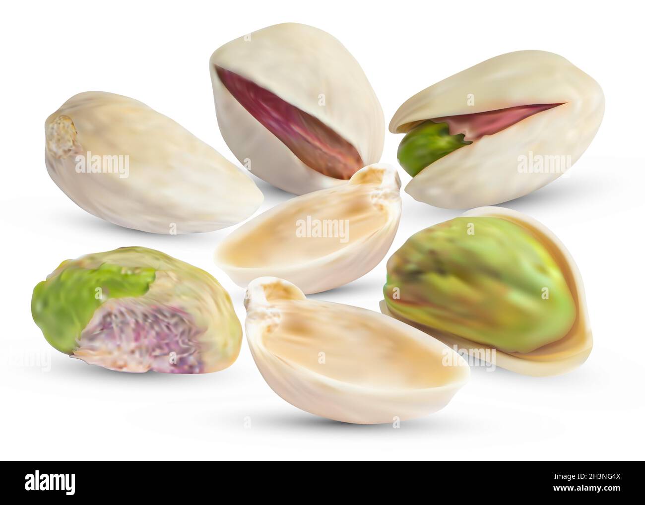 Vector pistachio nuts with realistic dry shell. Pistachios kernel