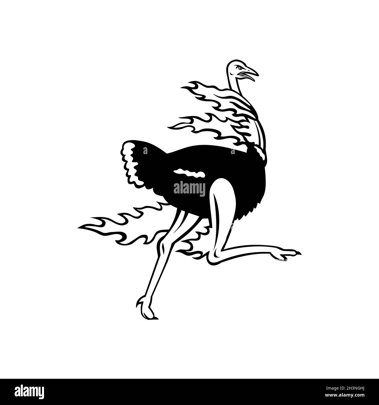 Common Ostrich Running While on Fire Viewed from Side Mascot Black and White Stock Photo