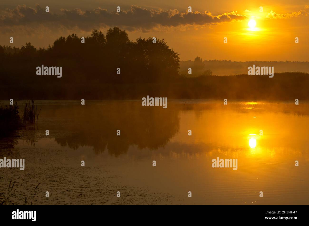 Lake at sunset, coastal grass and trees. light of the sunset above the water. Stock Photo