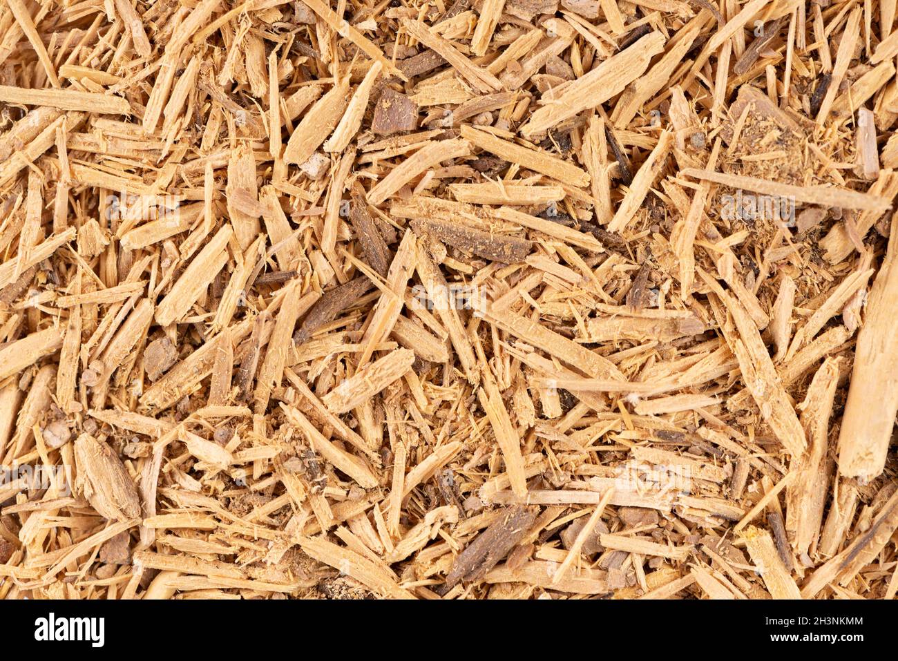 Muira Puama herbal tea background. Natural potency wood, medicinal