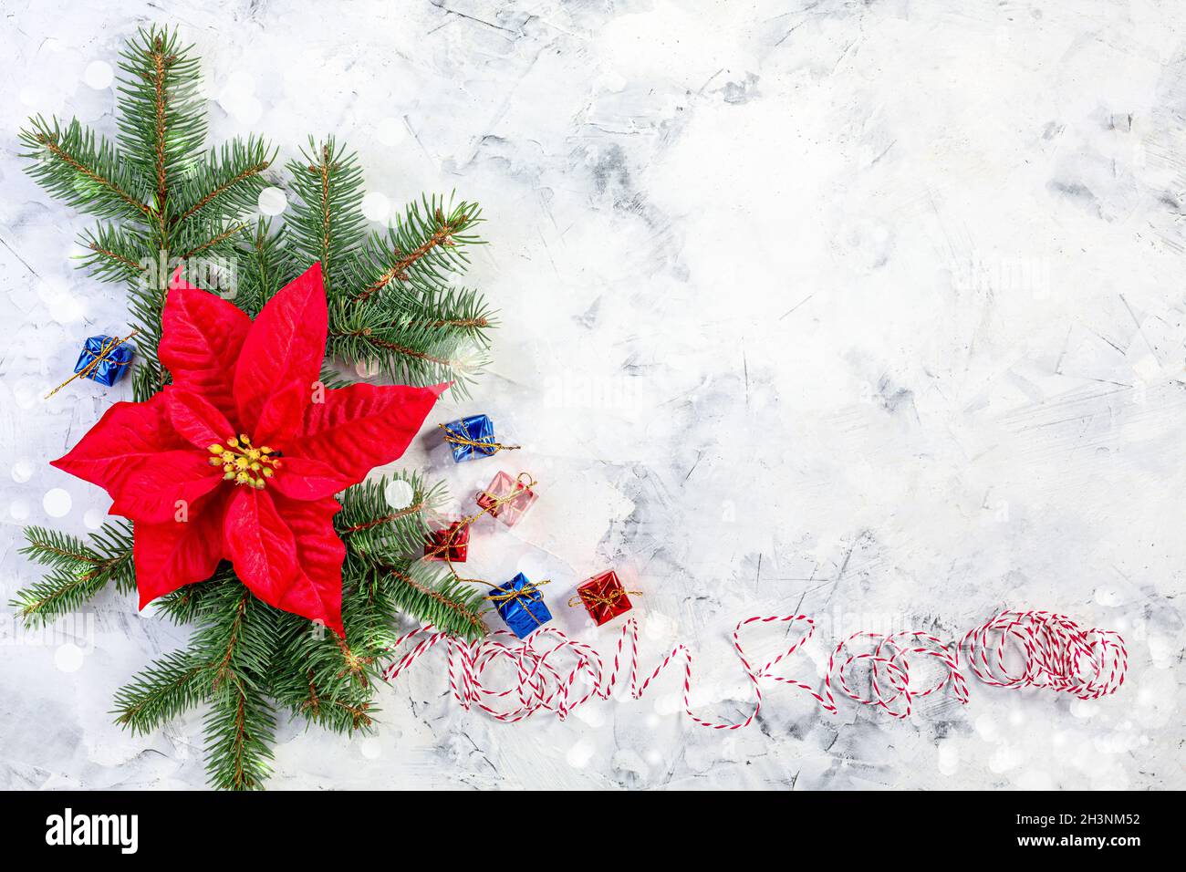 Composition with Christmas flower poinsettia. Stock Photo