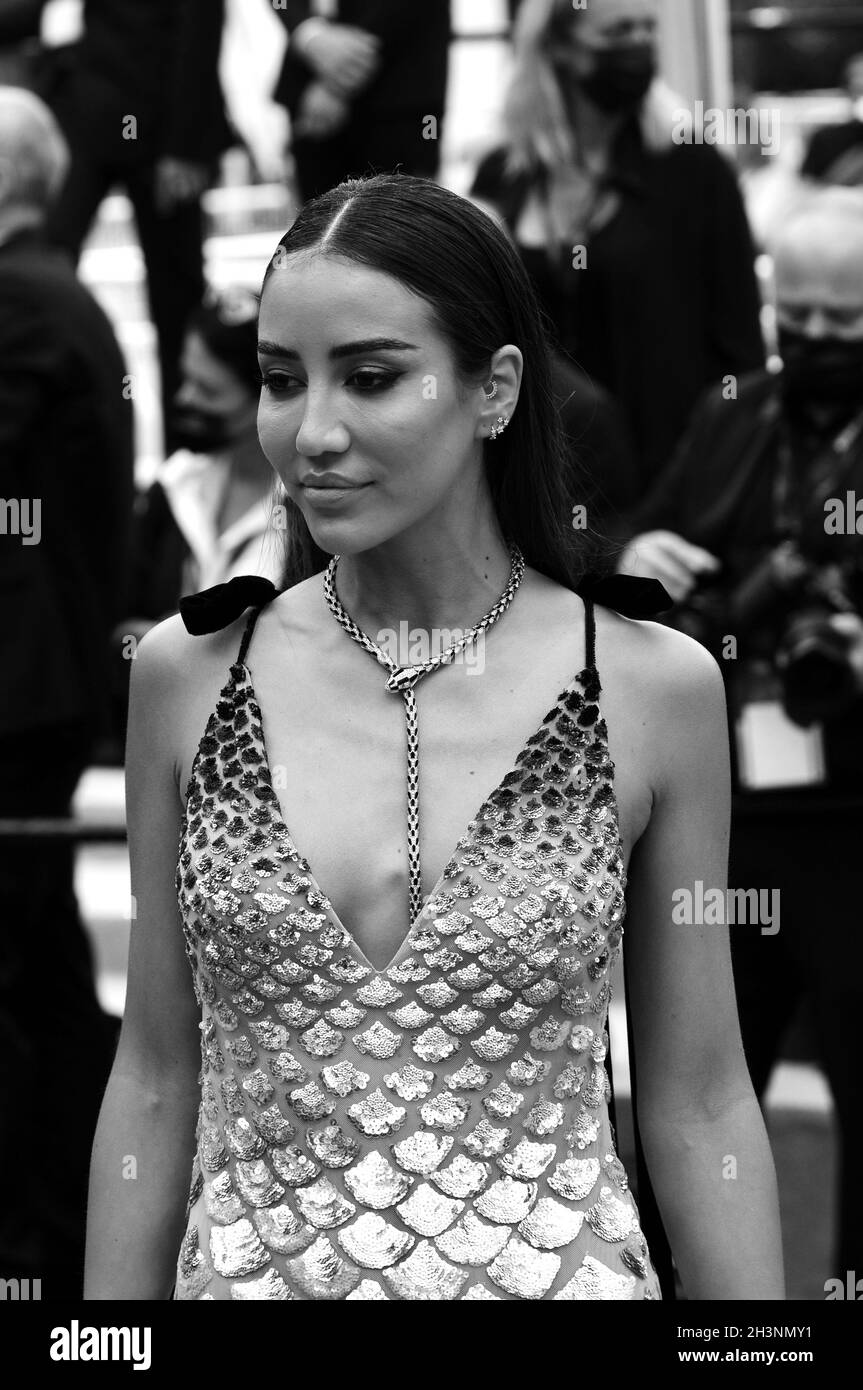 Red carpet at the 74th Cannes Film Festival 2021 Stock Photo Alamy