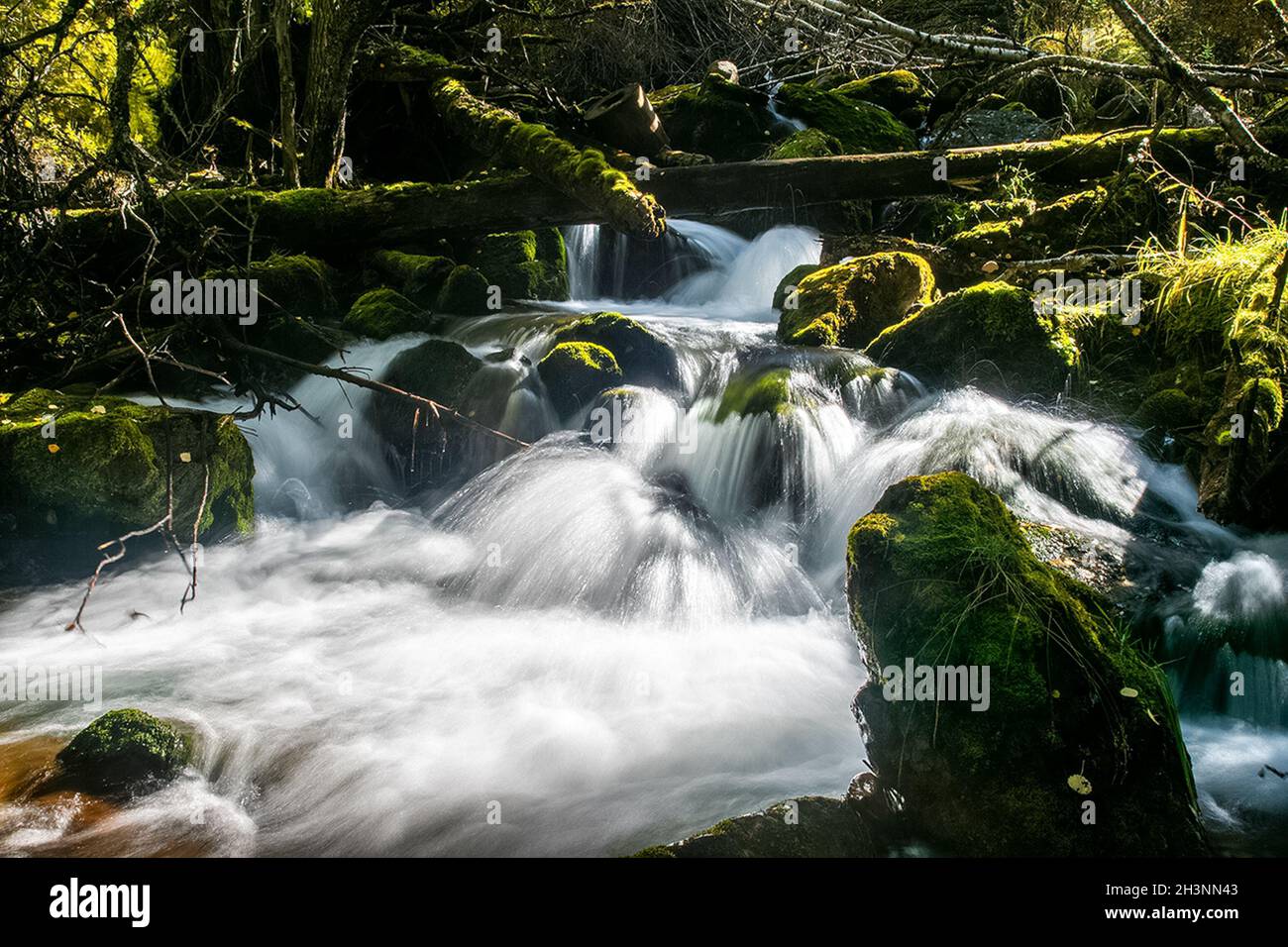 Water flows over rocks trees hi-res stock photography and images - Alamy