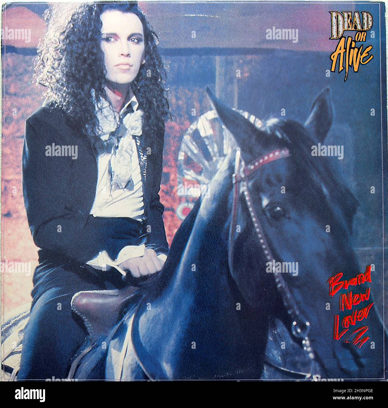 1980s Dead or Alive Record Album Sleeve Vinyl Lp Cover 1987 Single 