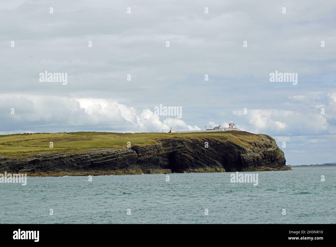 Coast   Dolphin tour Carrigaholt Stock Photo