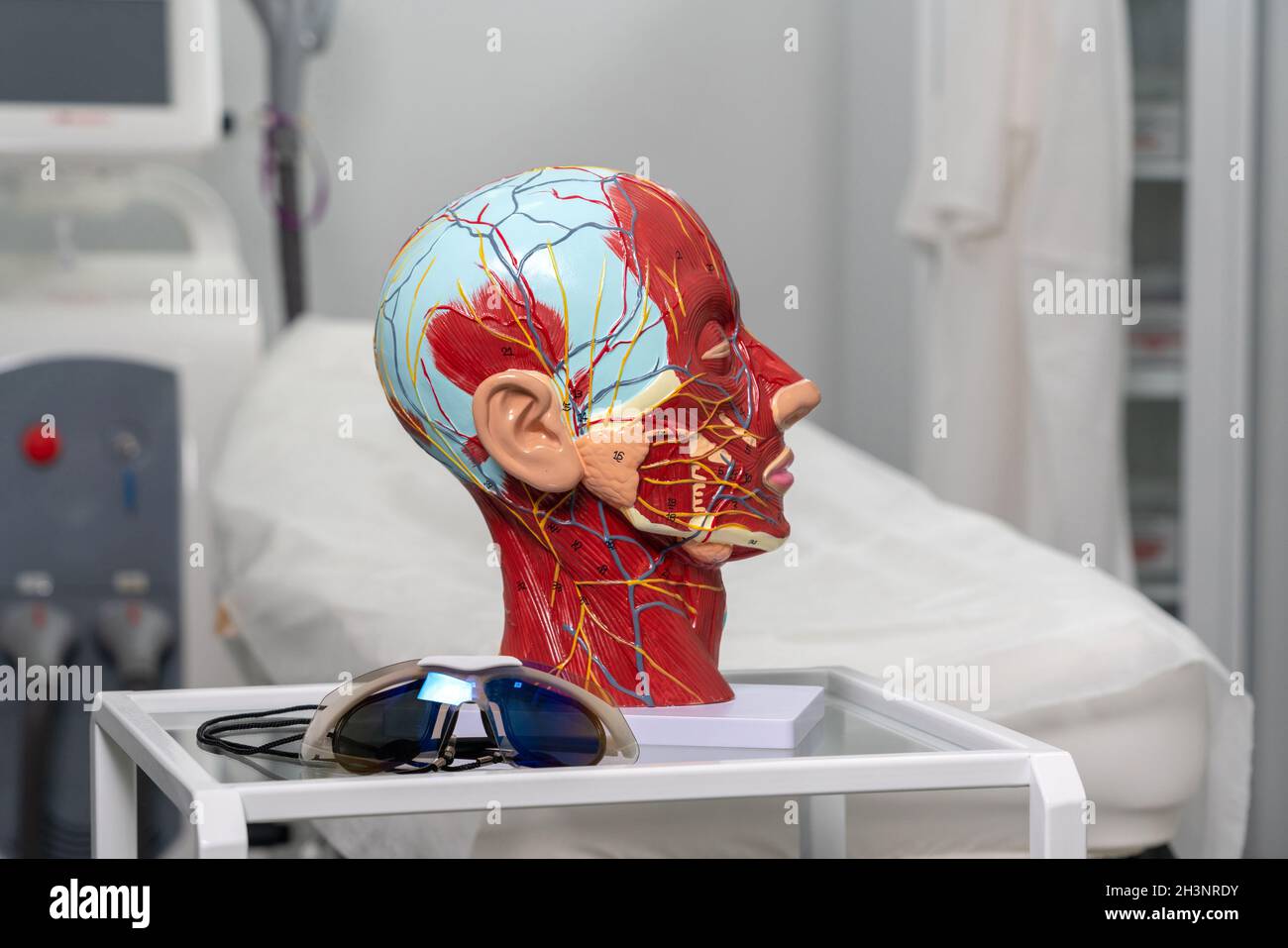 Anatomical artificial model of head in cometology clinic. Maquette of