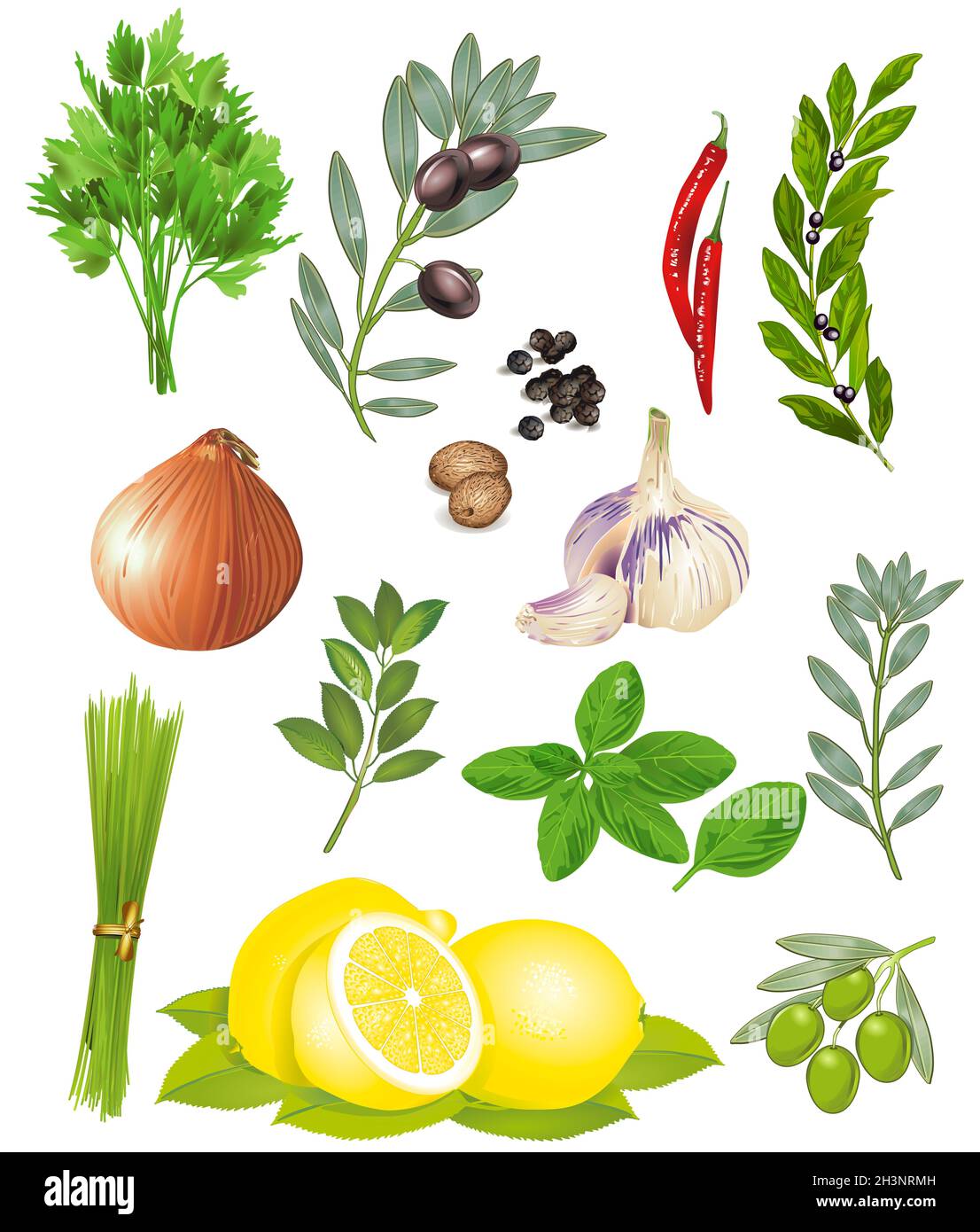 Spices and herbs -  illustration Stock Photo