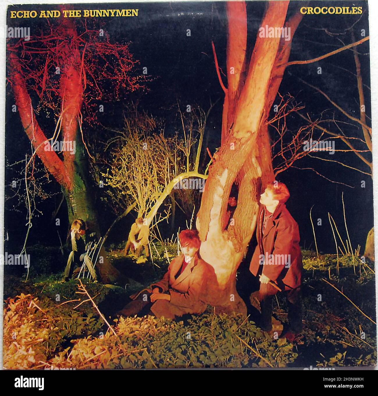 1980 Echo and the Bunnymen Crocodiles Lp 1980s Vinyl Record Sleeve 