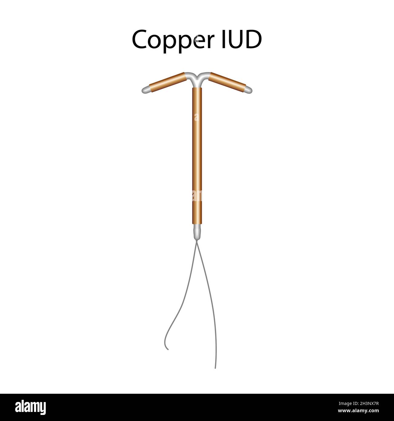 Copper intrauterine devices, illustration Stock Photo Alamy