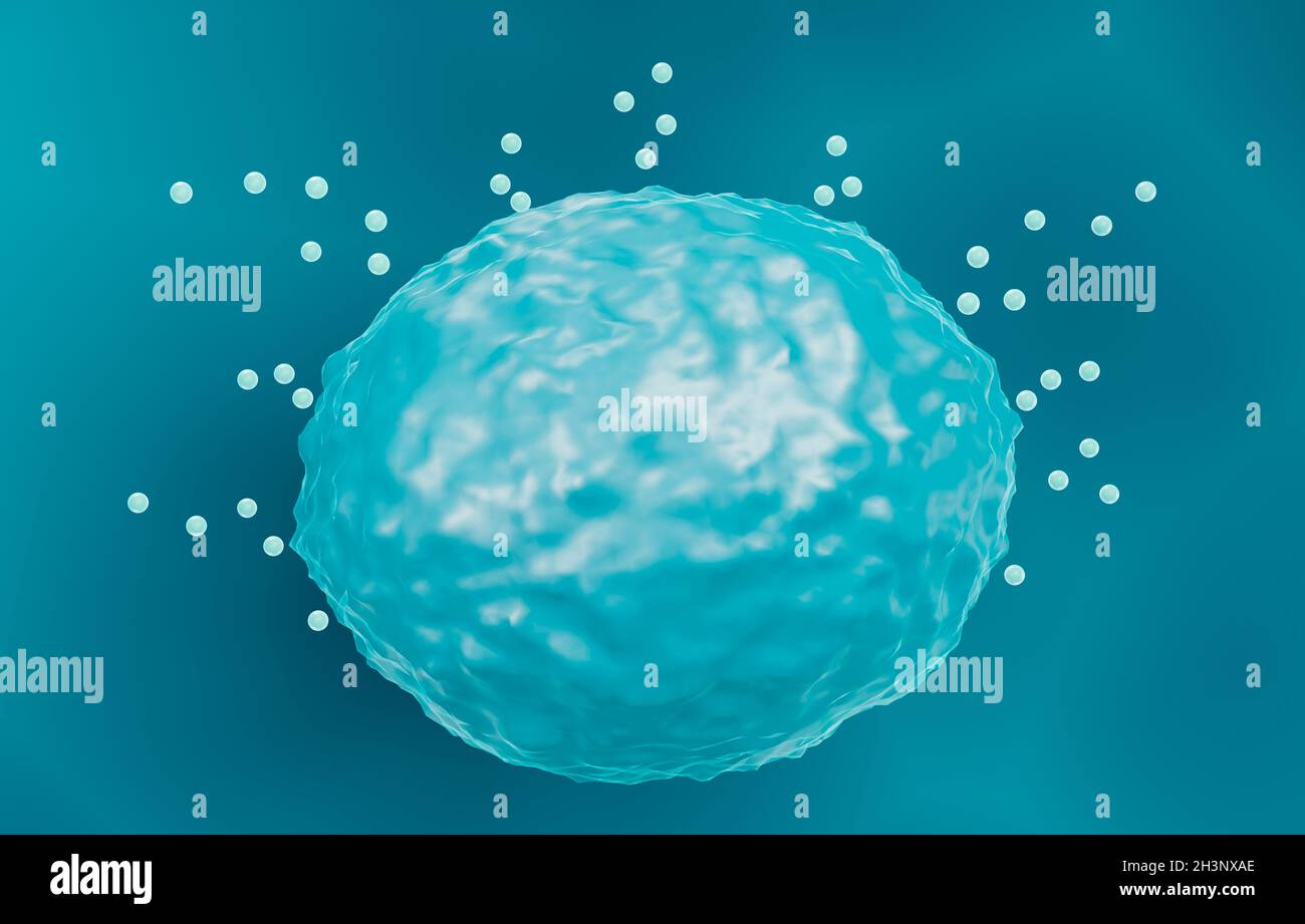 Mast cell releasing histamine, illustration Stock Photo