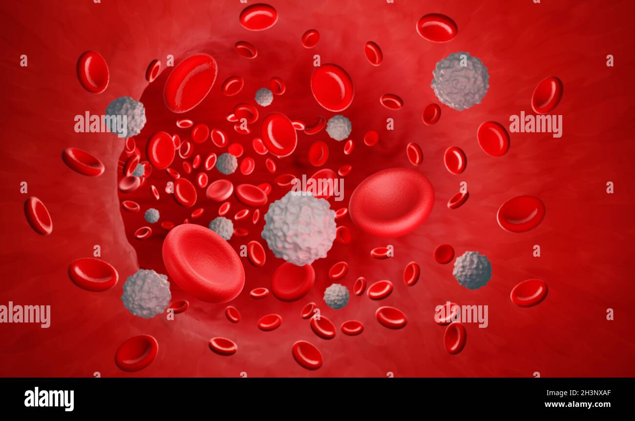 Red and white blood cells, illustration Stock Photo Biology Diagrams