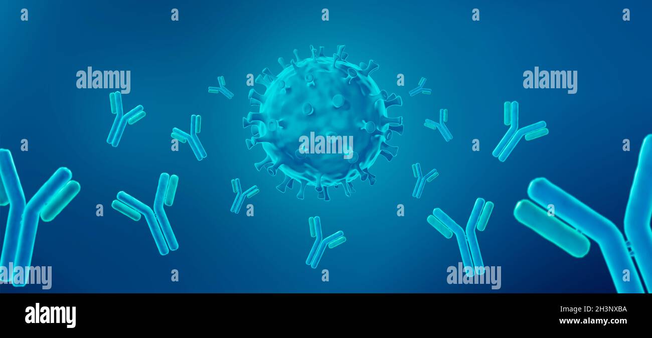 Antibodies neutralizing a virus, illustration Stock Photo Alamy
