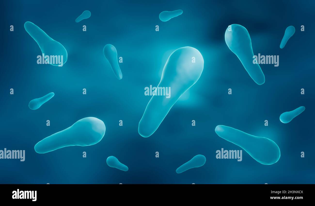 Clostridium tetani bacteria, illustration Stock Photo