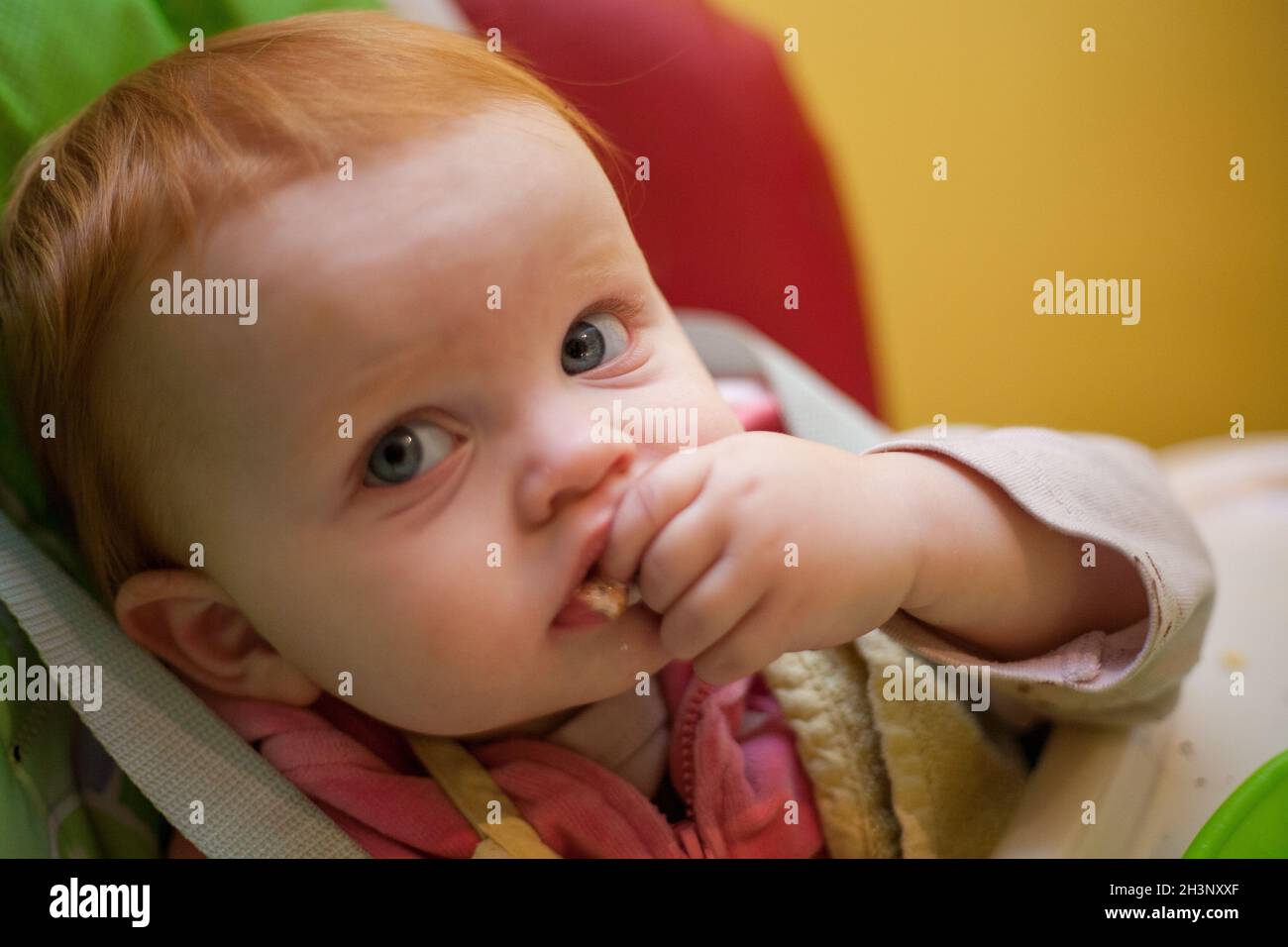 One year old baby girl chocolate cake smash party Stock Photo