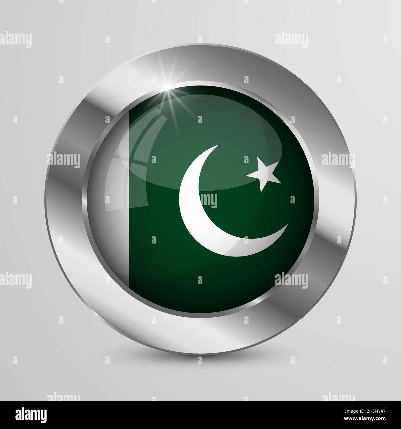 EPS10 Vector Patriotic Button with Pakistan flag colors. An element of impact for the use you want to make of it. Stock Vector