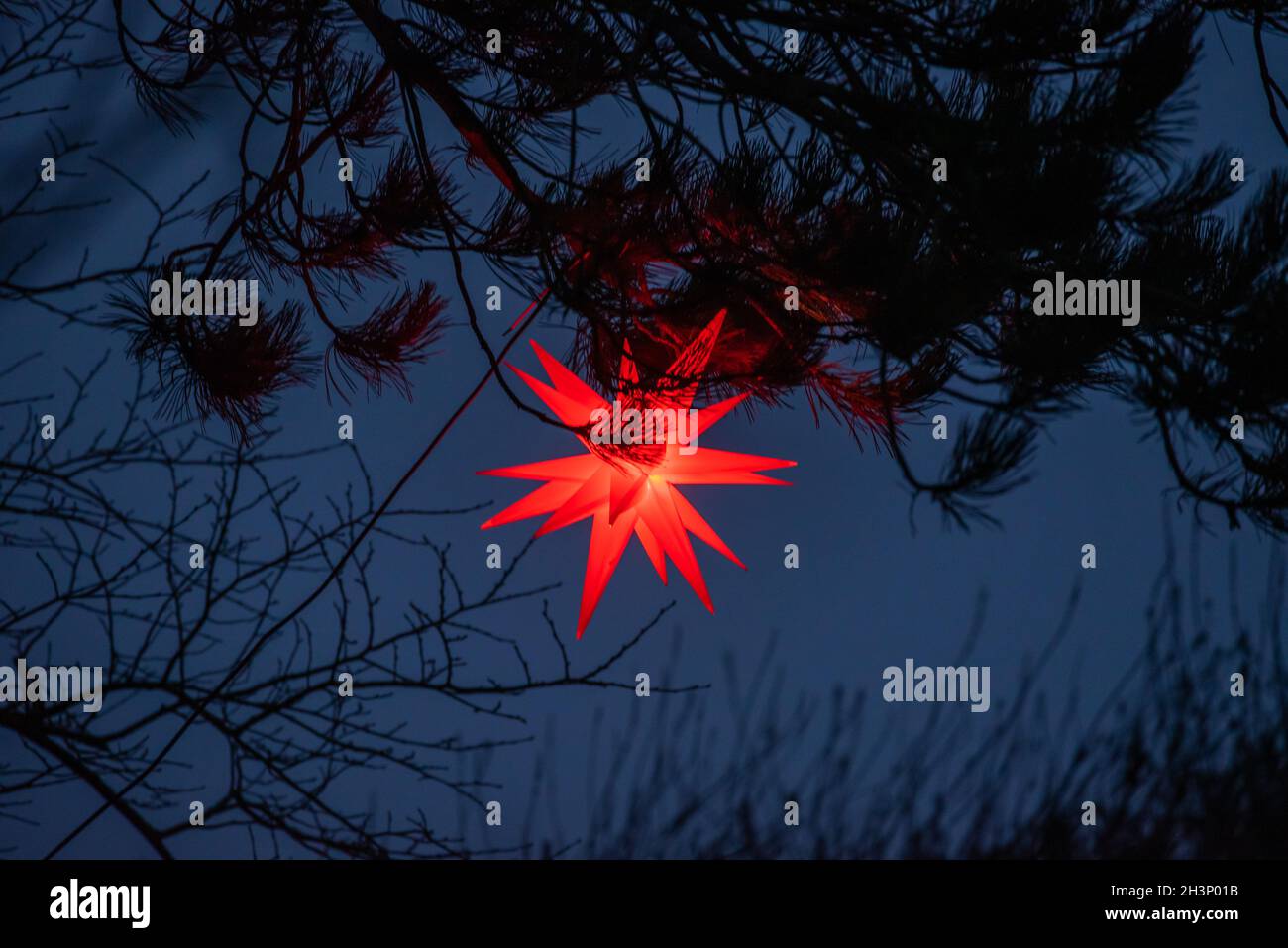 Sternenhaft hires stock photography and images Alamy