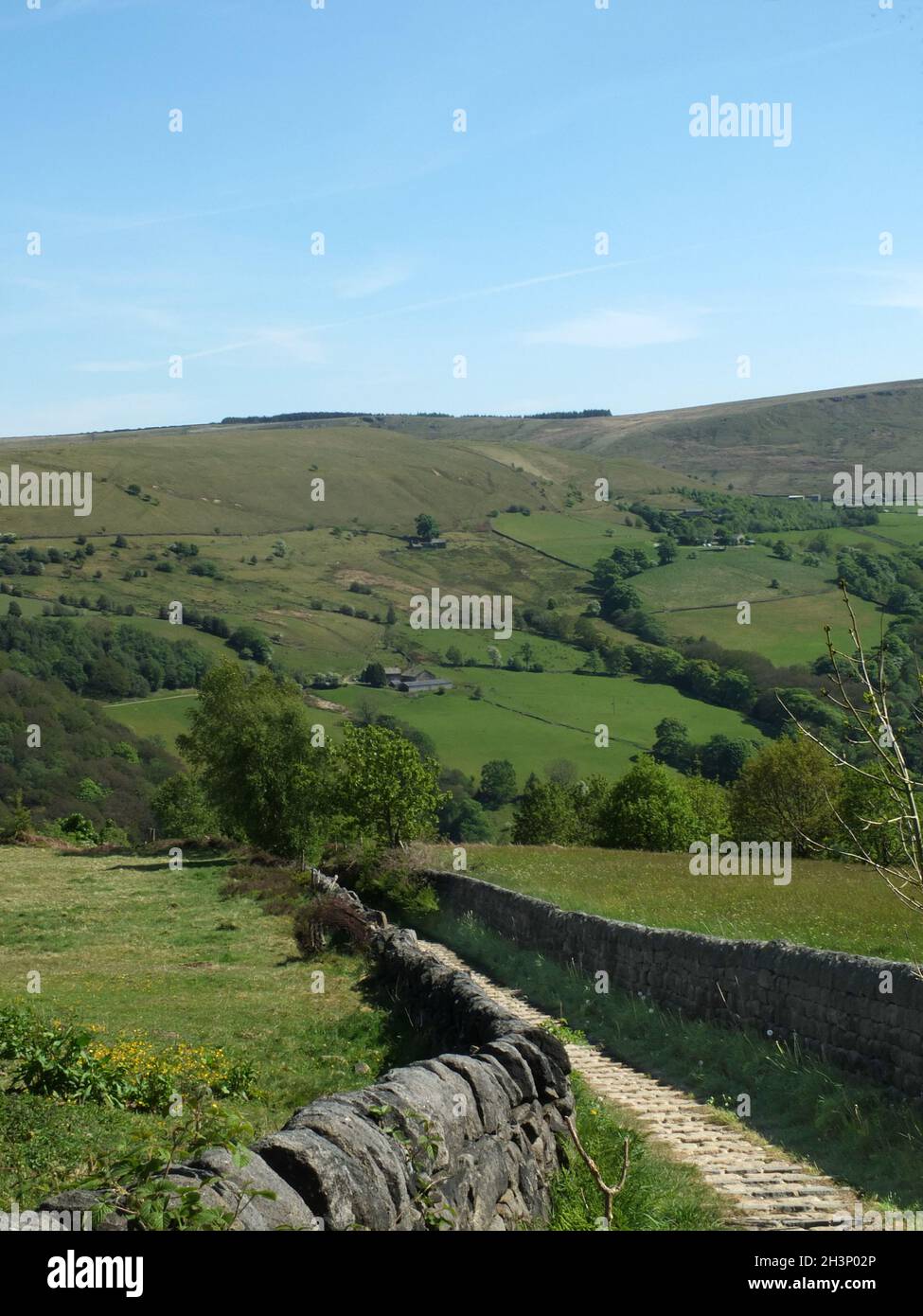 Rural scene with narrow country lane hi-res stock photography and ...