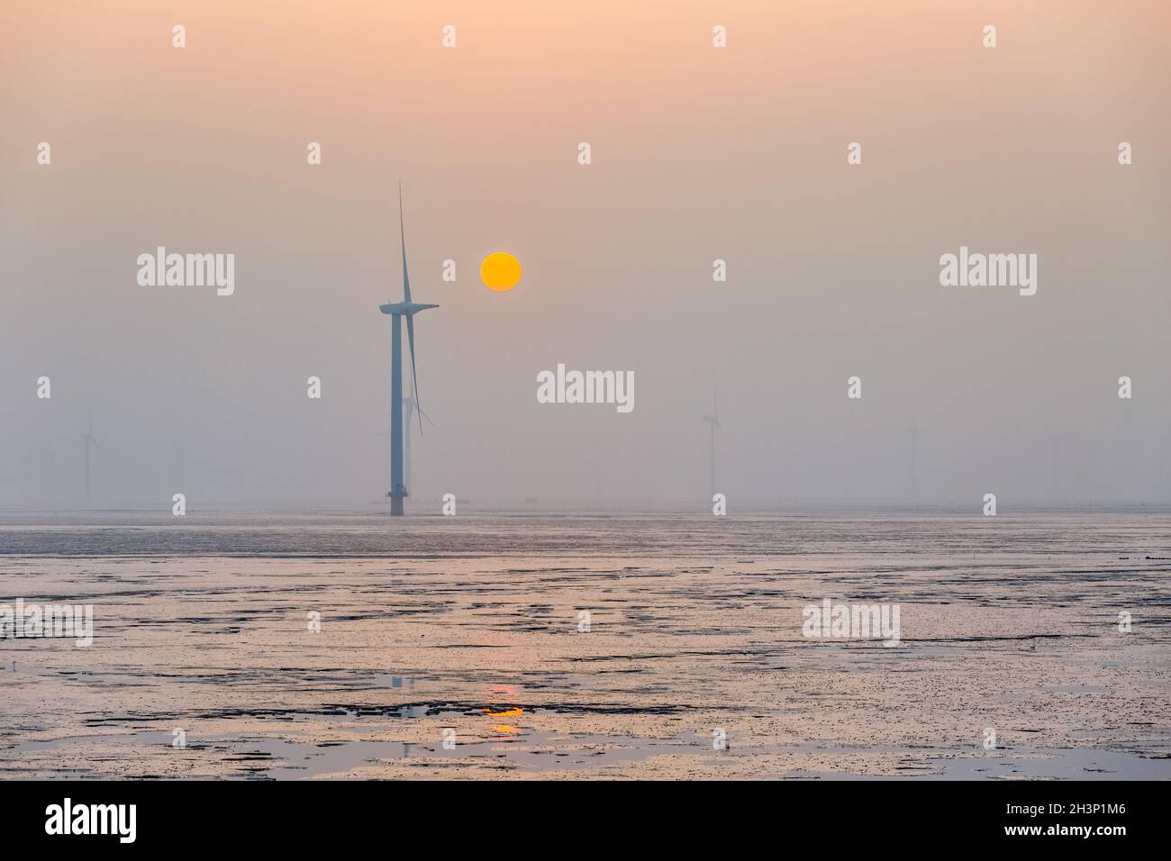 Wind farm on mud flats in sunrise Stock Photo