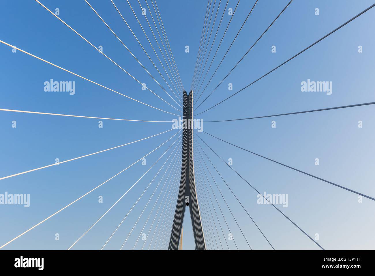 Bridge tower with stay cables closeup Stock Photo