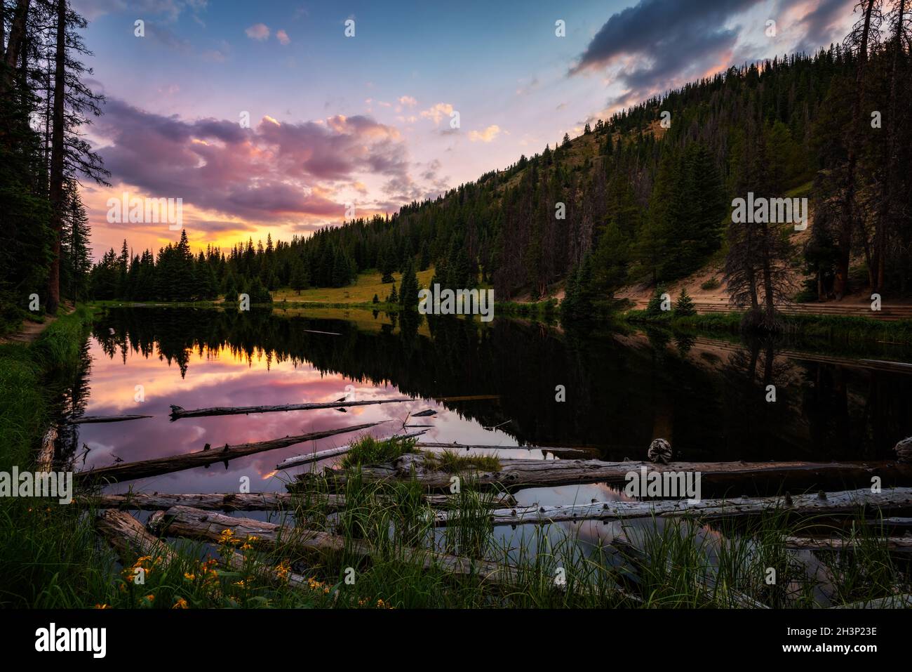 Irene lake hires stock photography and images Alamy