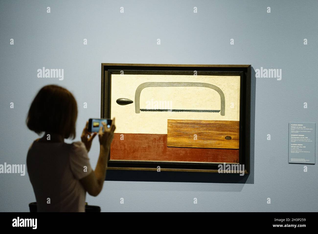 Coleccion del museo ruso hi-res stock photography and images - Alamy