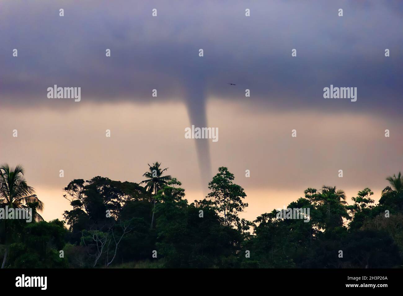 Formation of a tornado on sea in tropics against background of jungle. Stock Photo
