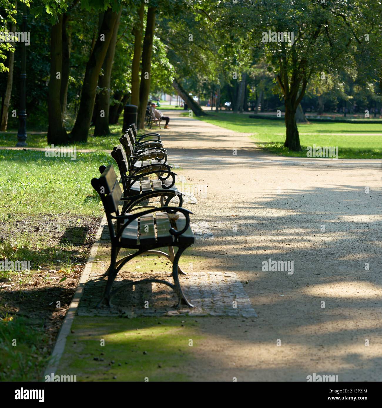 Public park path bench hi-res stock photography and images - Alamy