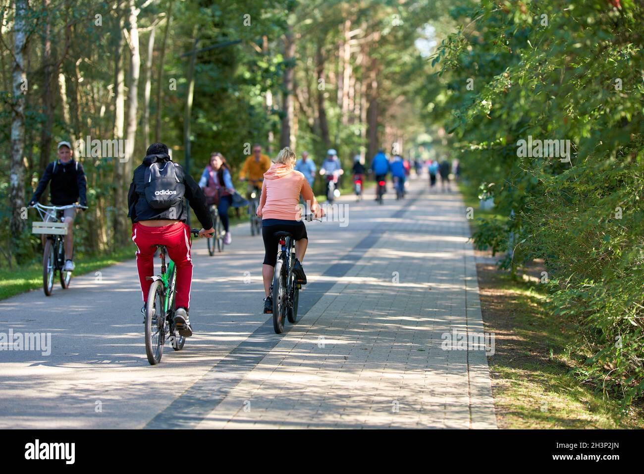 Bicyclists on the dune road between Ahlbeck in Germany and Swinoujscie in Poland Stock Photo