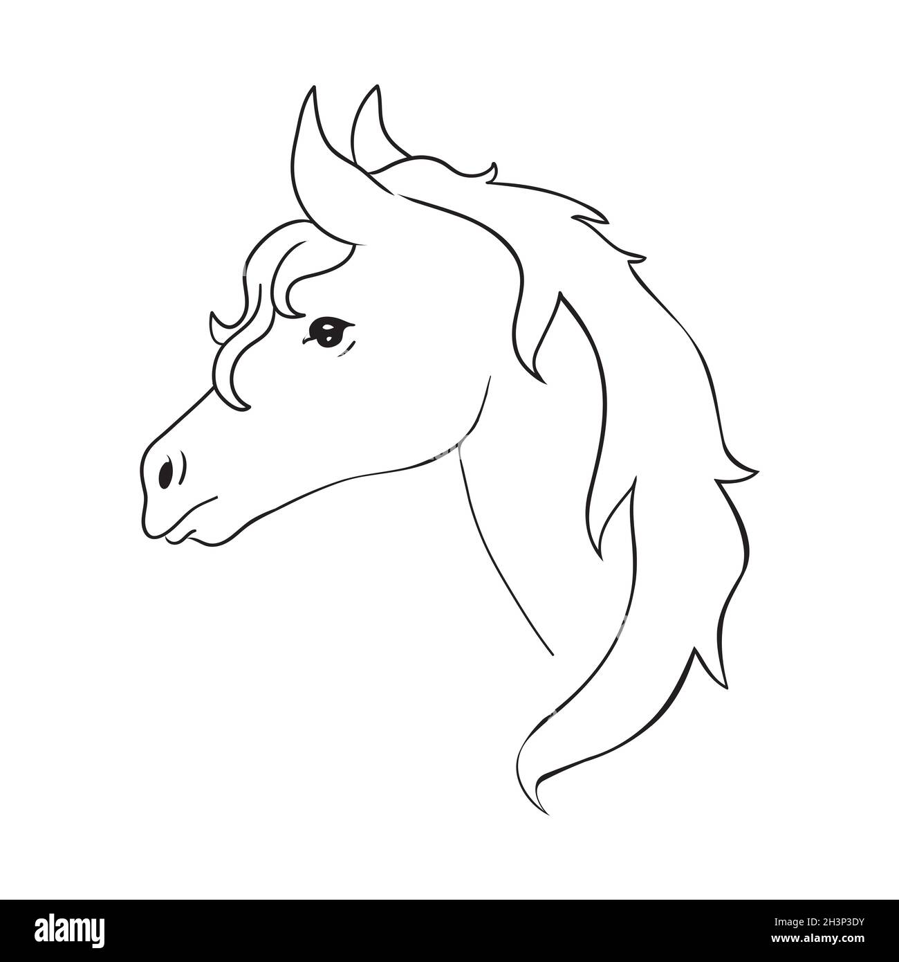 How to Draw a Horse Head - Step-by-Step Tutorial