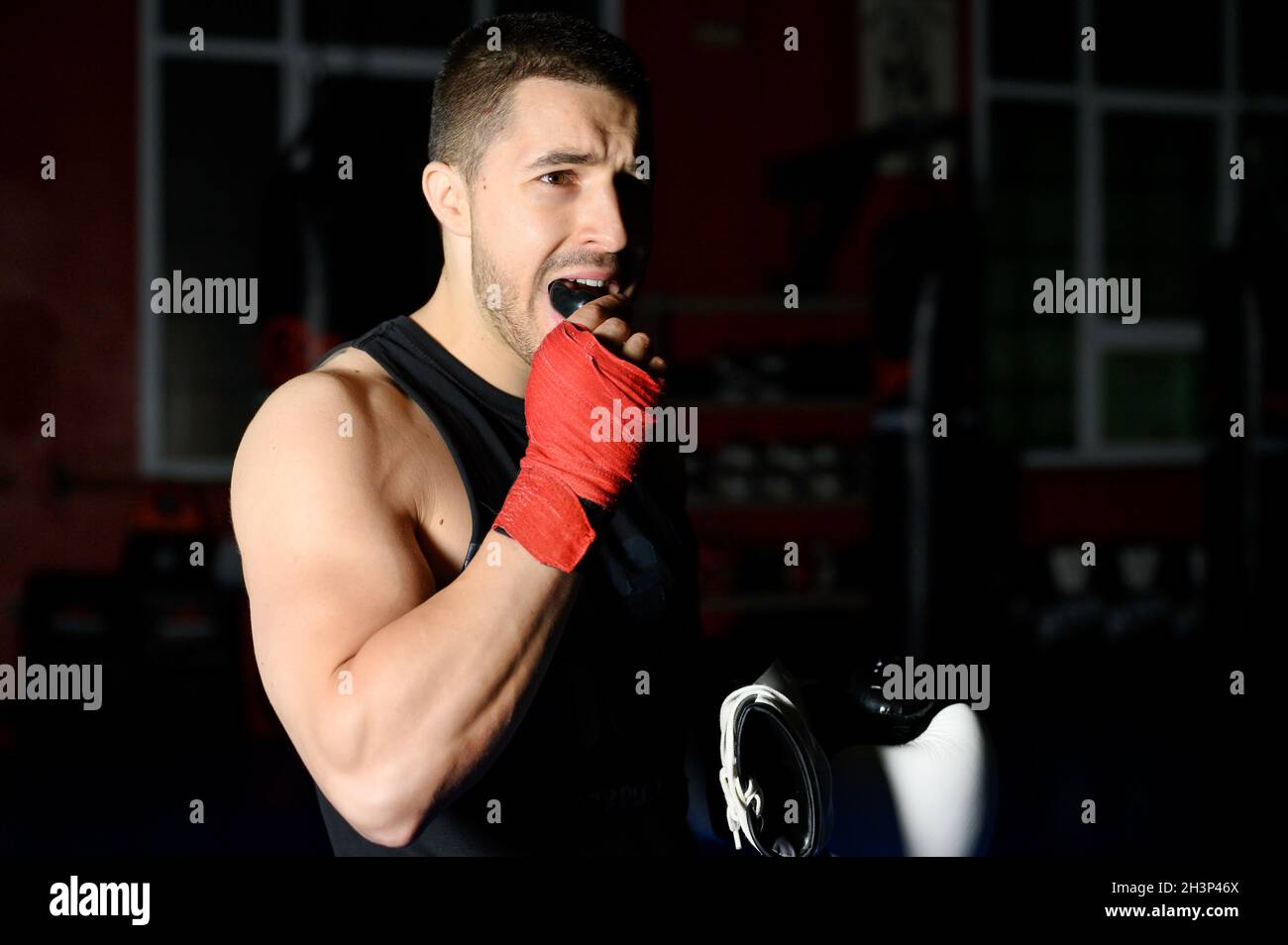 Boxing fighter putting on mouthguard Stock Photo Alamy