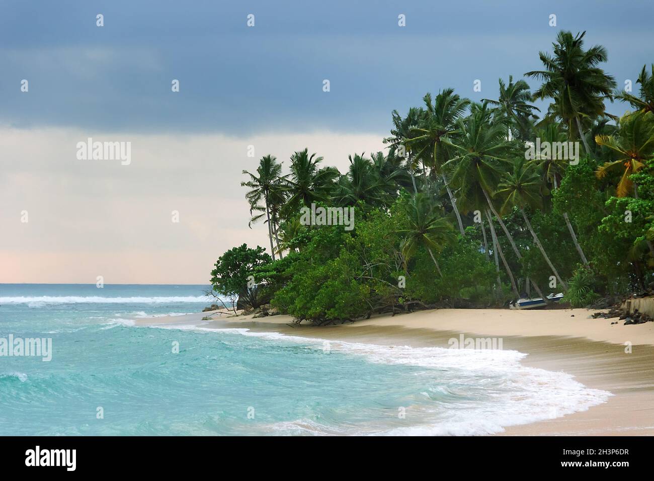 Tropical paradise Stock Photo