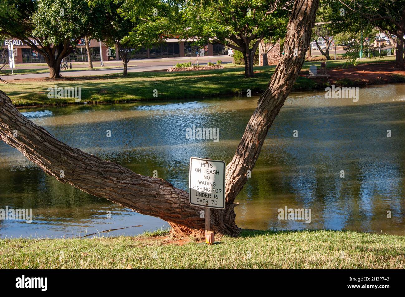 Elk palm hires stock photography and images Alamy
