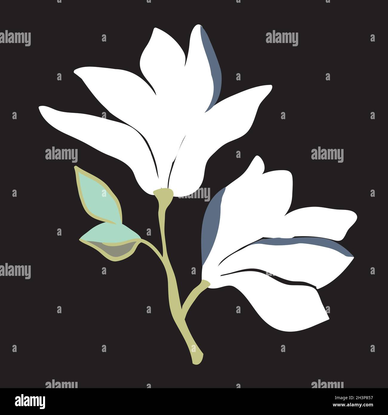 Magnolia flowers. Beautiful spring illustration Stock Vector Image ...