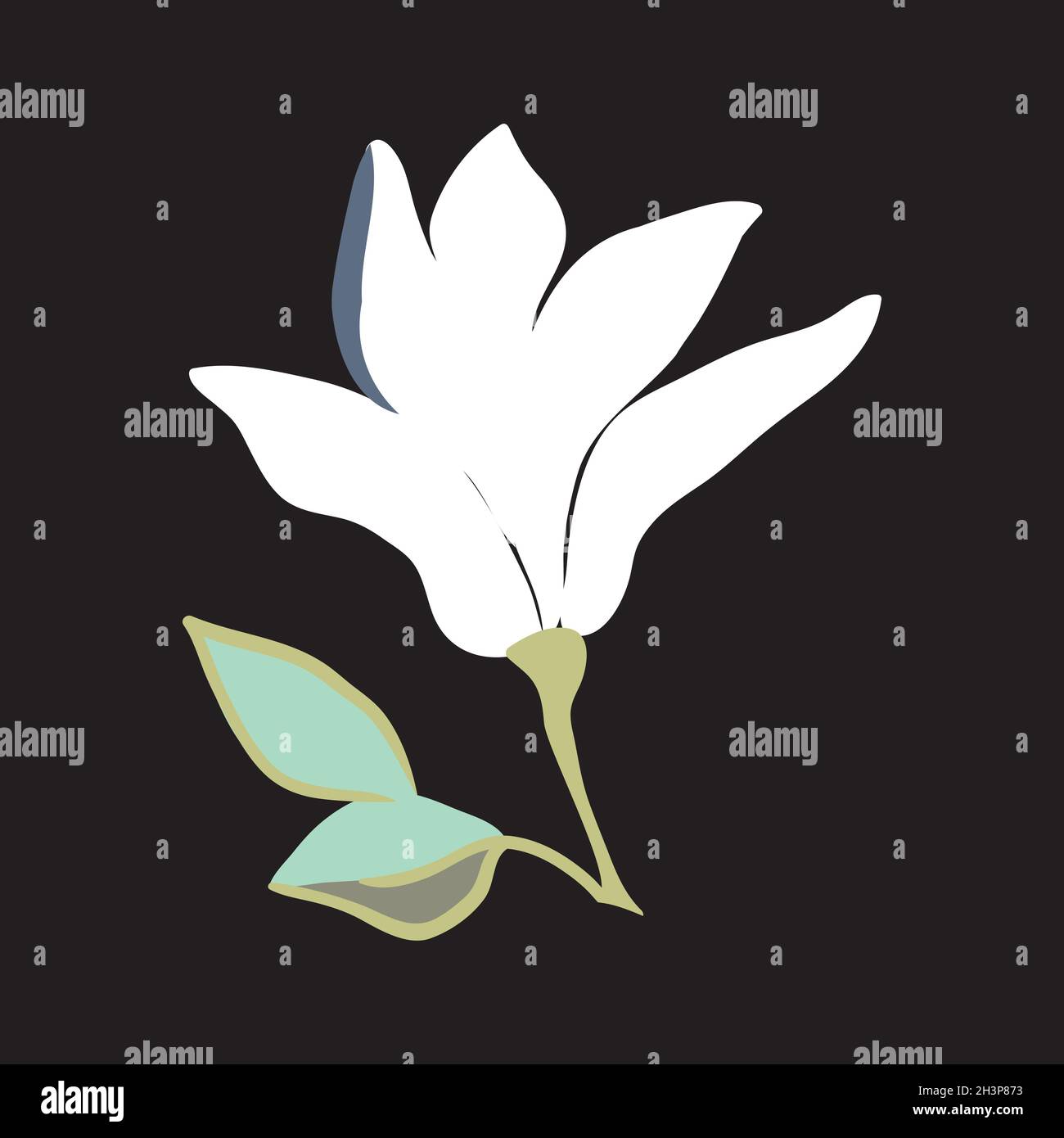 Magnolia flowers. Beautiful spring illustration Stock Vector Image ...