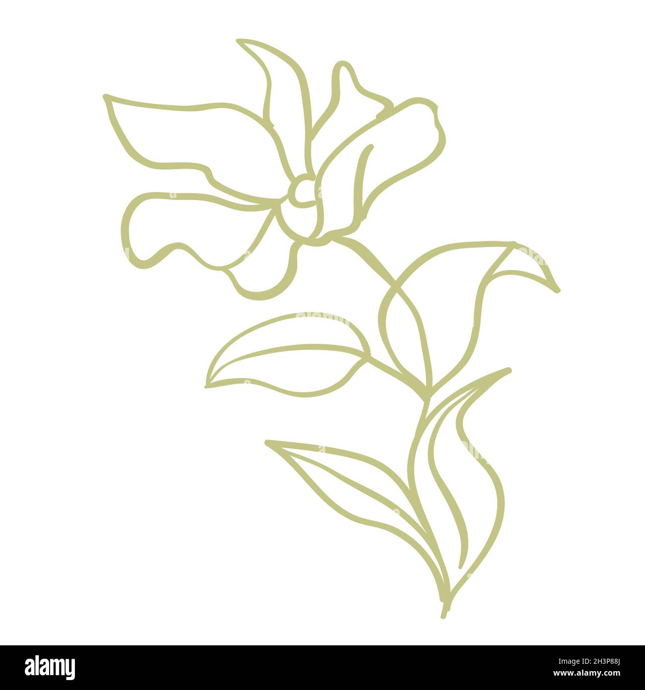 Magnolia flowers. Beautiful spring illustration Stock Vector Image ...