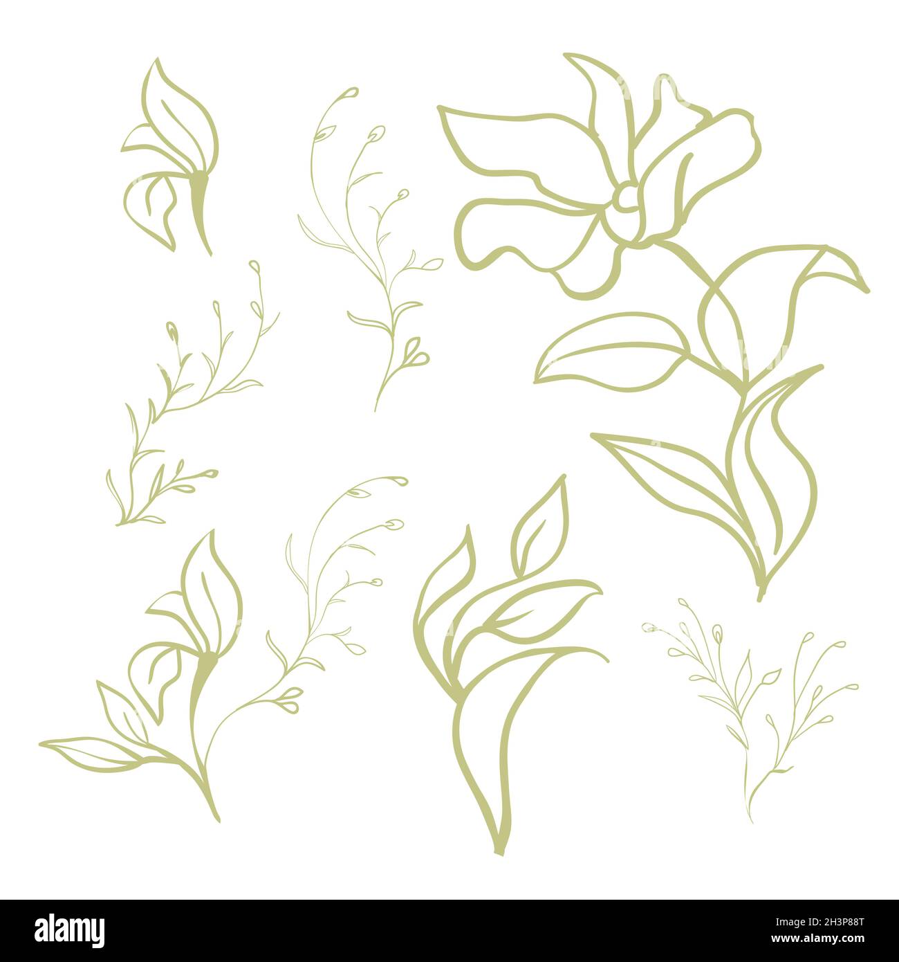 Magnolia flowers. Beautiful spring illustration Stock Vector Image ...