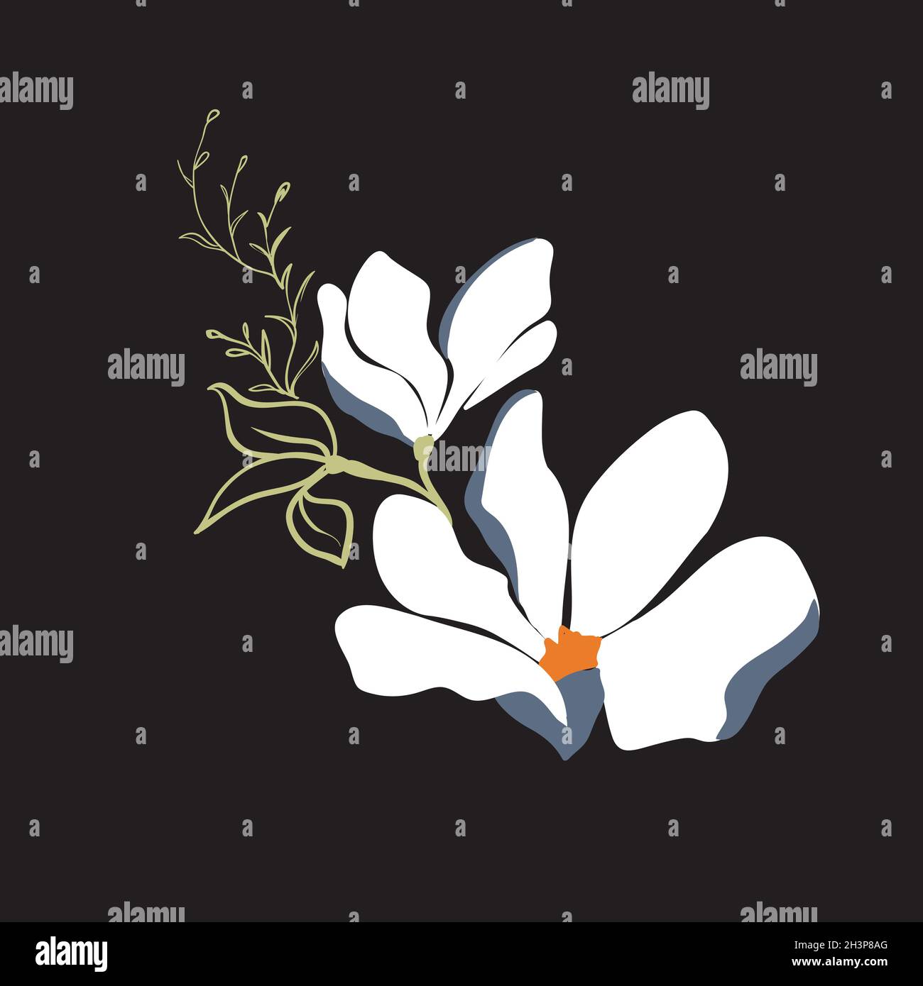 Magnolia flowers. Beautiful spring illustration Stock Vector Image ...