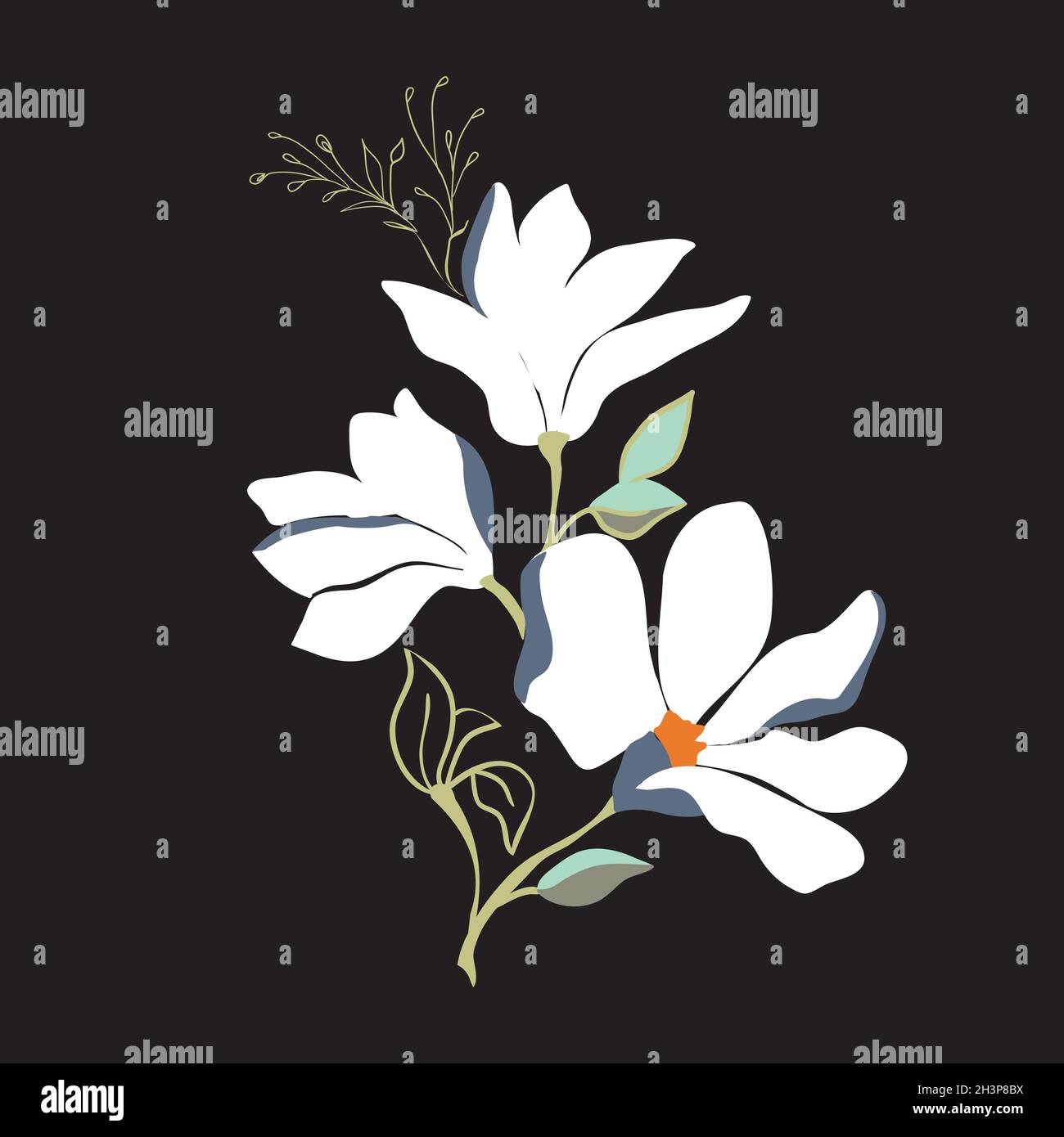 Magnolia flowers. Beautiful spring illustration Stock Vector Image ...