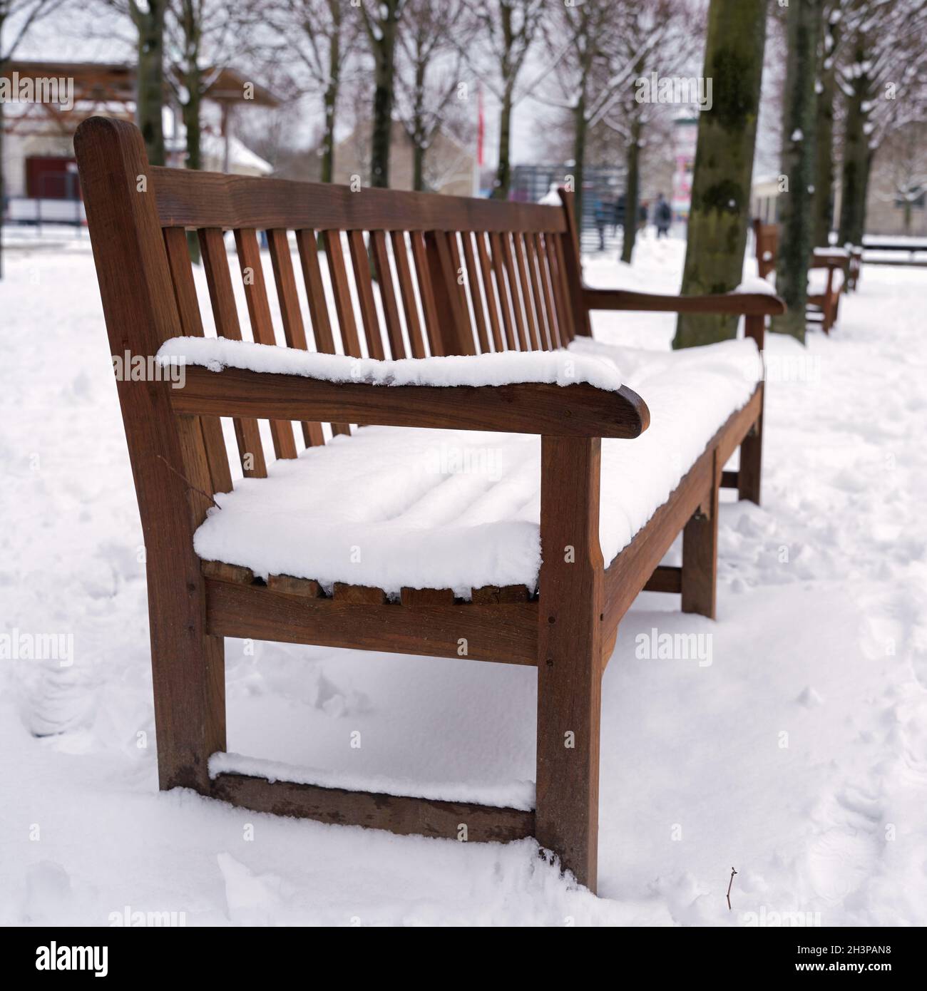 Snowed in park bench in a public park in Magdeburg in Germany in winter
