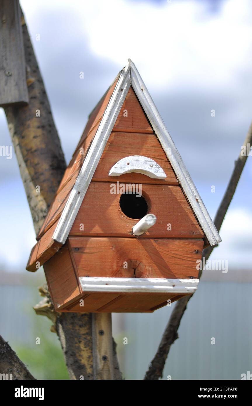 Birdhouse made of wood. A house for birds Stock Photo