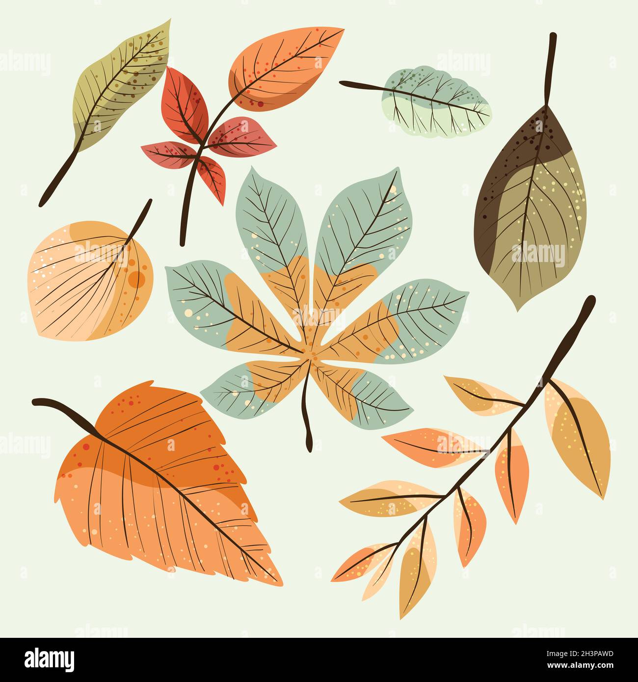 detailed autumn leaves collection vector design illustration Stock ...
